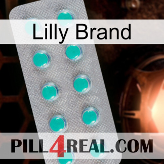 Lilly Brand 28
